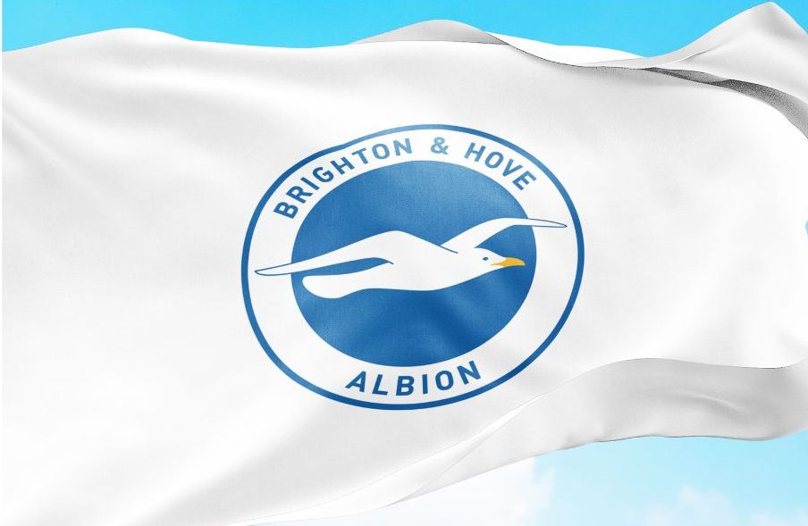 Brighton & Hove Albion 2024/25 Season Preview