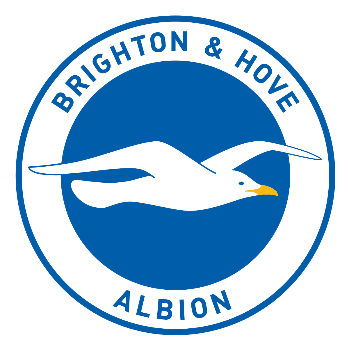 Brighton & Hove Albion