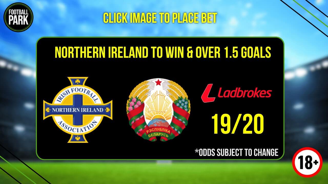 Northern Ireland vs Belarus-min-2.jpg