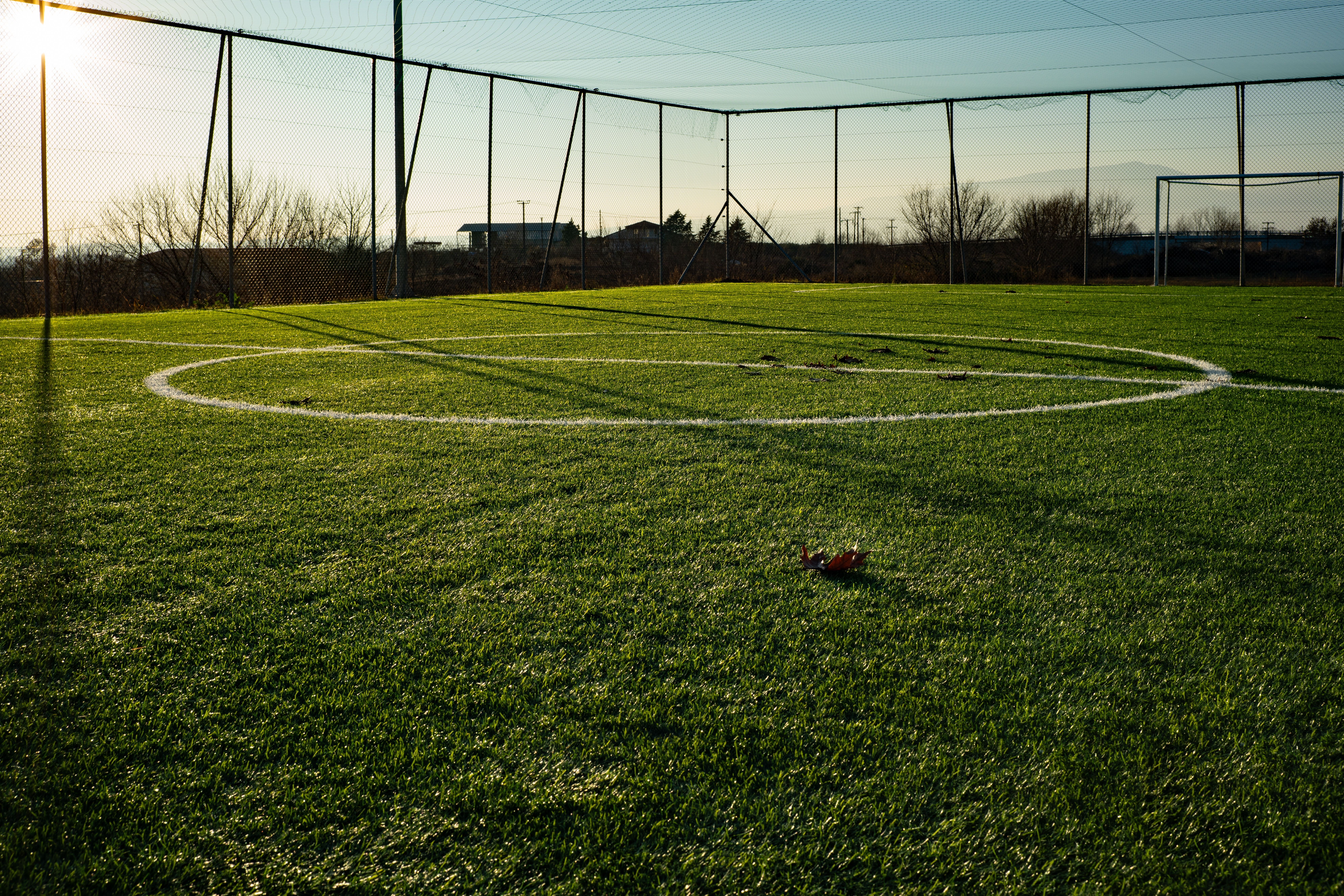 Pitch 2.jpg