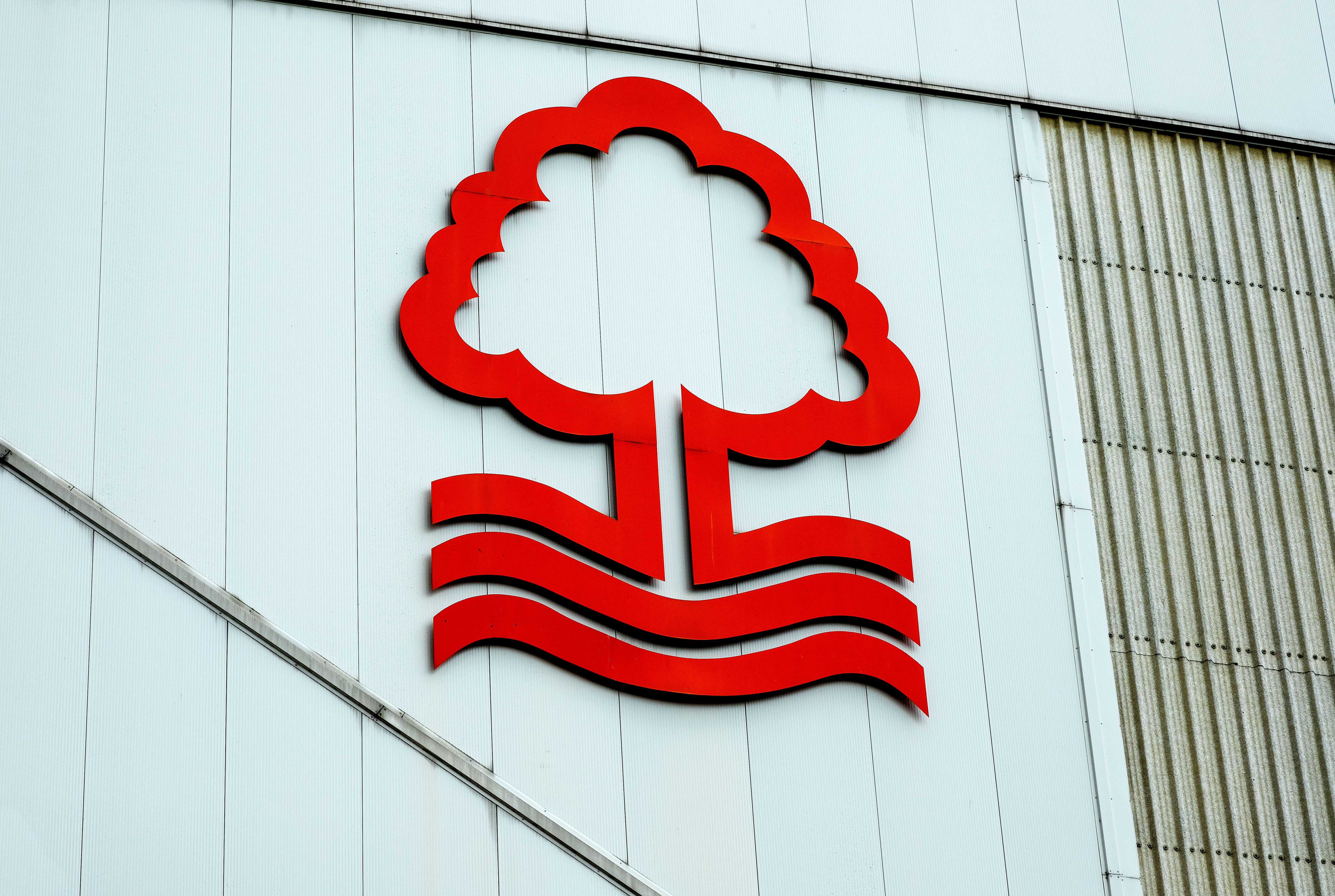 Tactical Breakdown: How Ndoye Will Fit In At Nottingham Forest