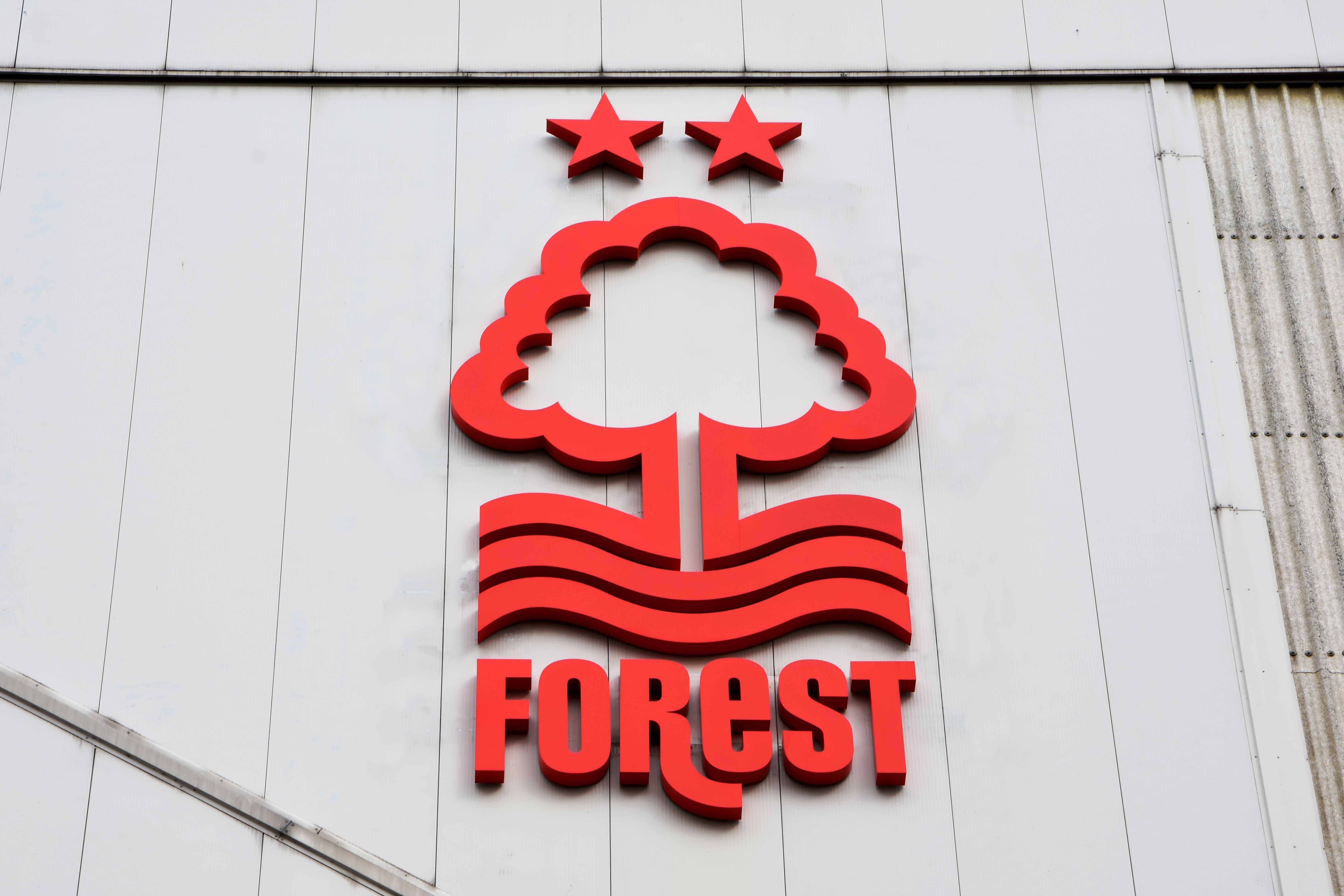 Nottingham Forest Faltering: Will They Hold On For Champions League Football?