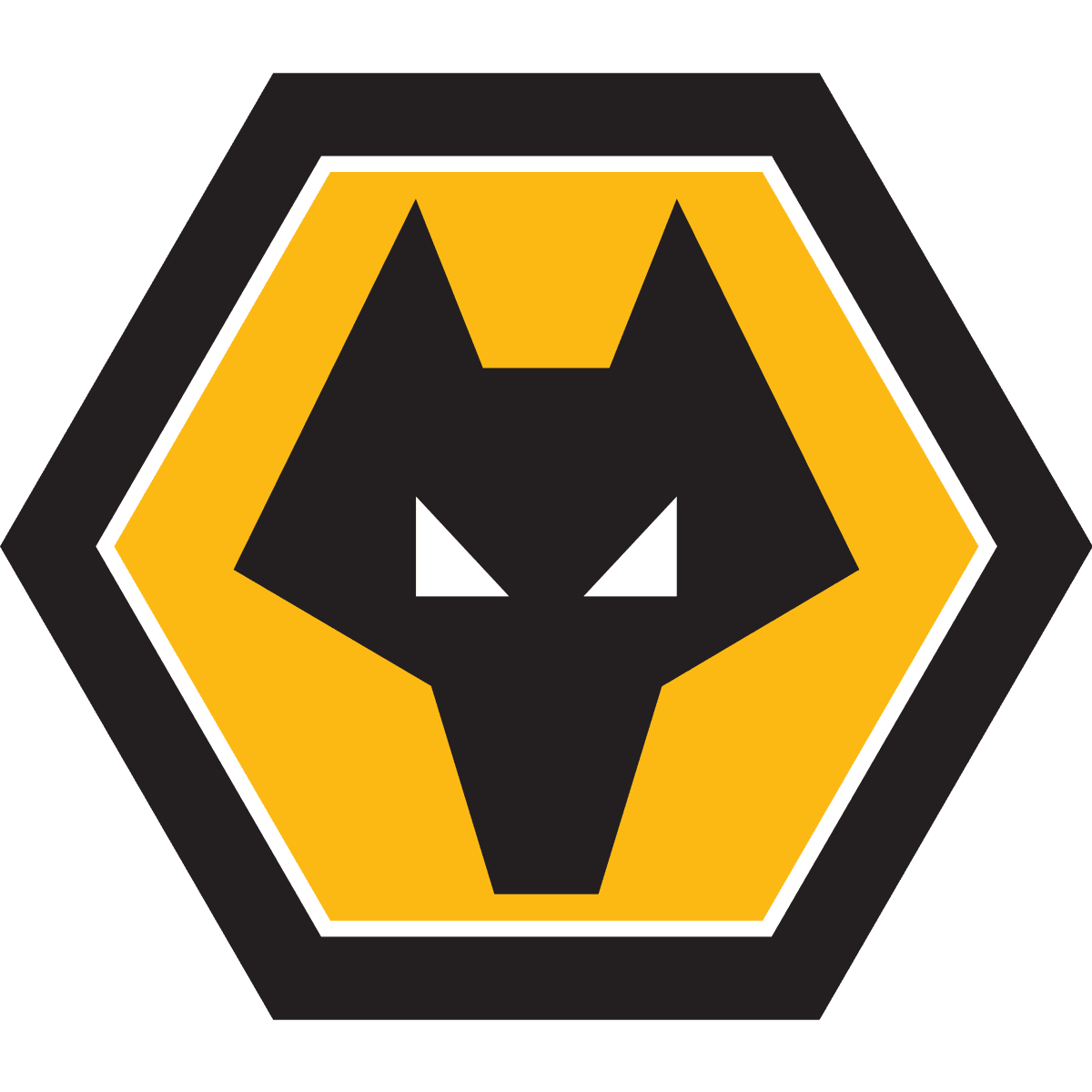 Wolves Under 21s